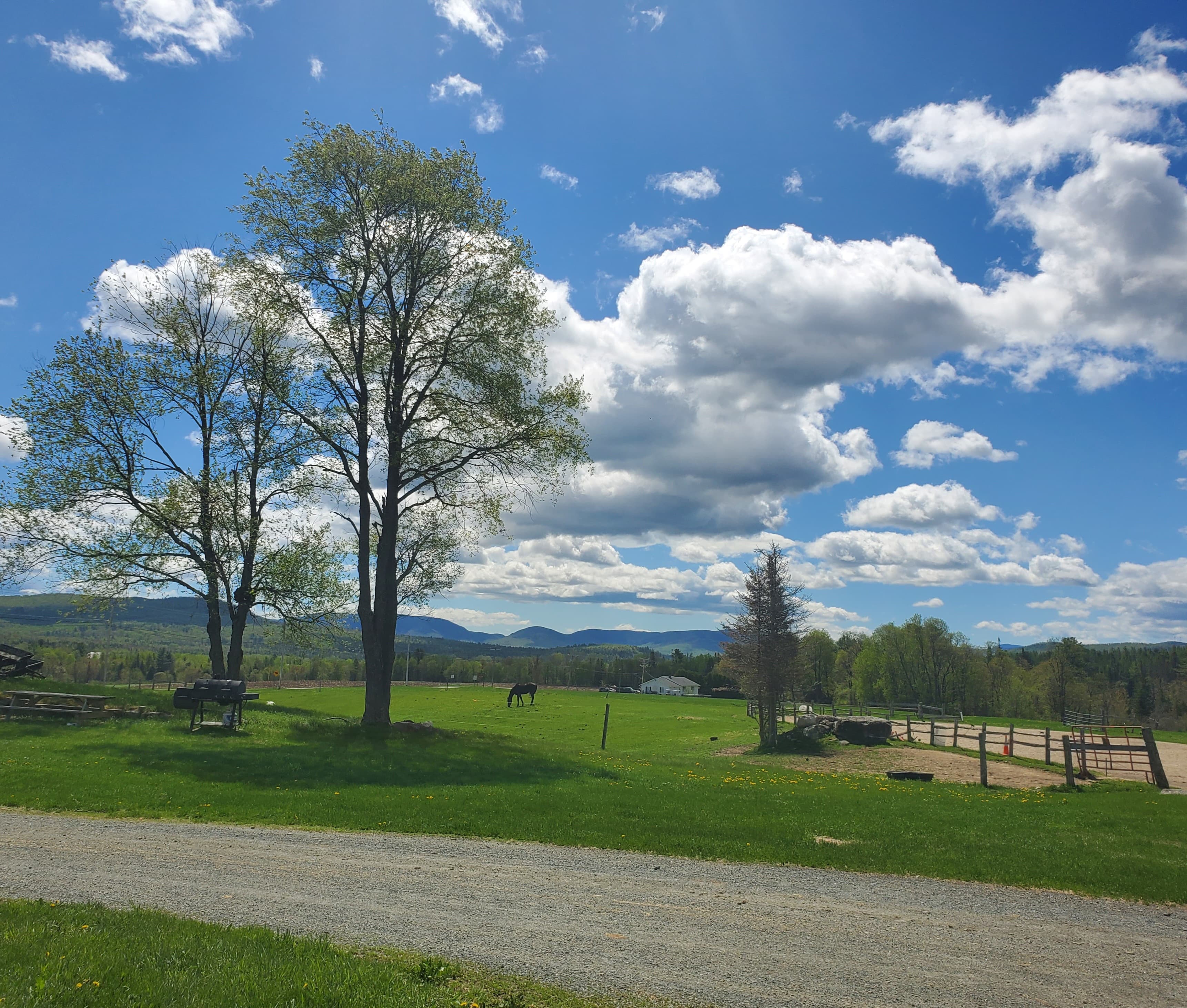 A scenic landscape featuring green fields, trees, clouds, and a distant horse under a blue sky.