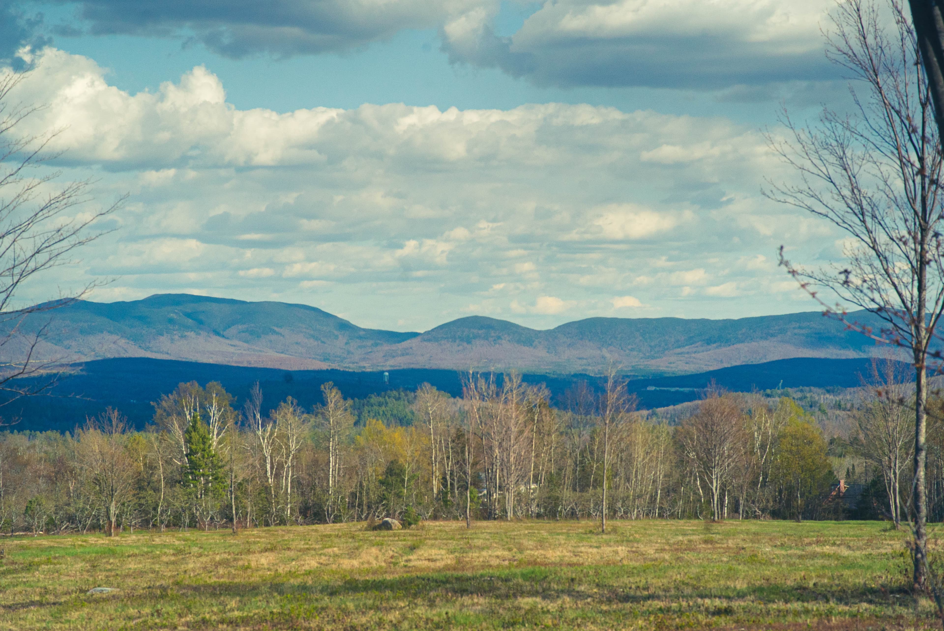 A scenic view of rolling hills under a partly cloudy sky, framed by bare trees and grassy fields. A scenic view of rolling hills under a partly cloudy sky, framed by bare trees and grassy fields.