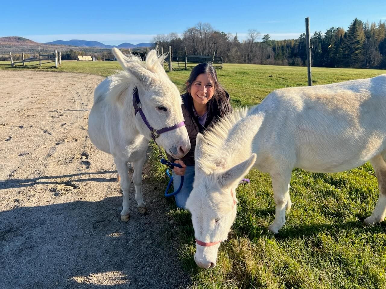A person smiles while kneeling between two white donkeys in a sunny, grassy field.
