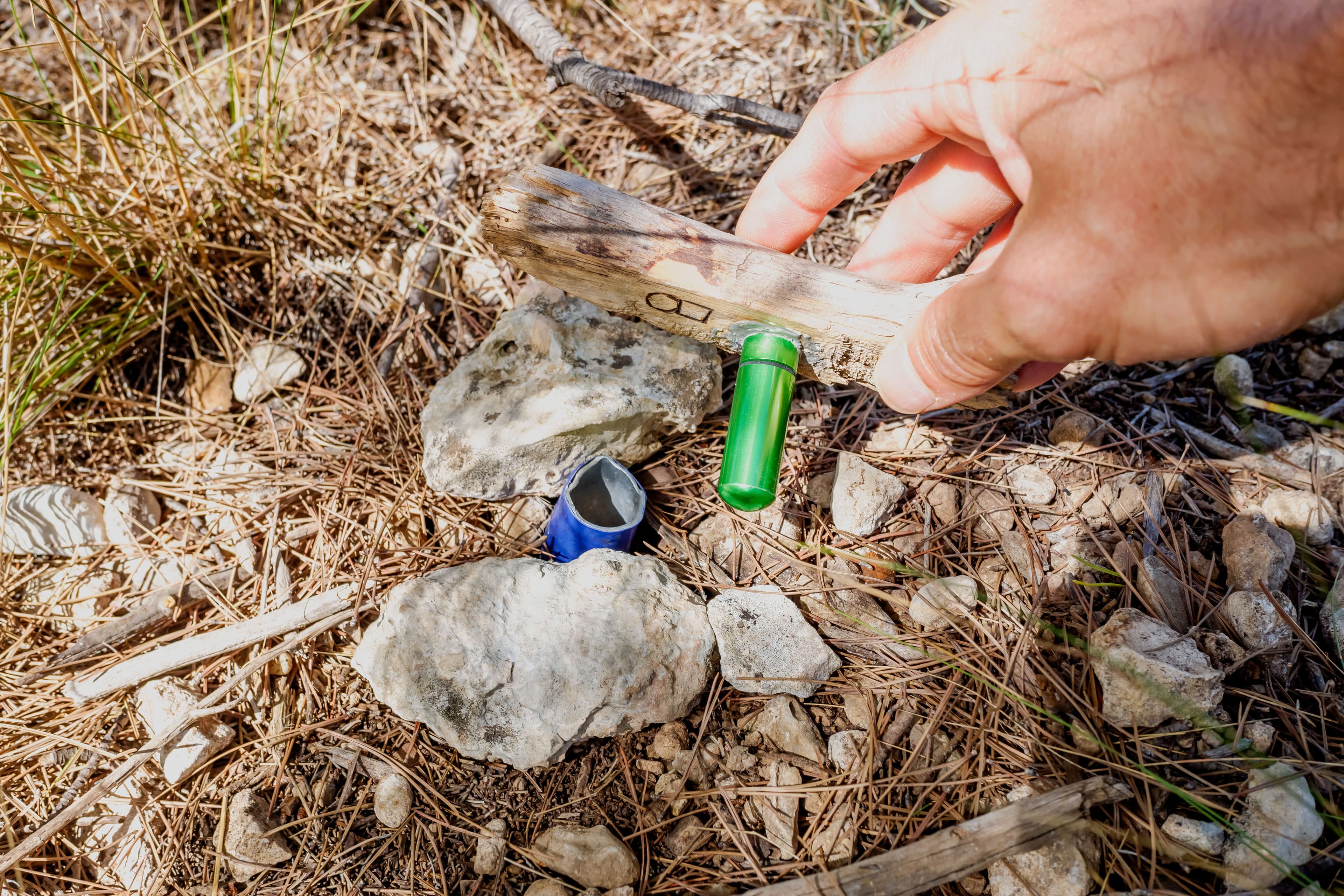 A hand holds a stick above a blue and green container resting on rocky, pine needle-covered ground.