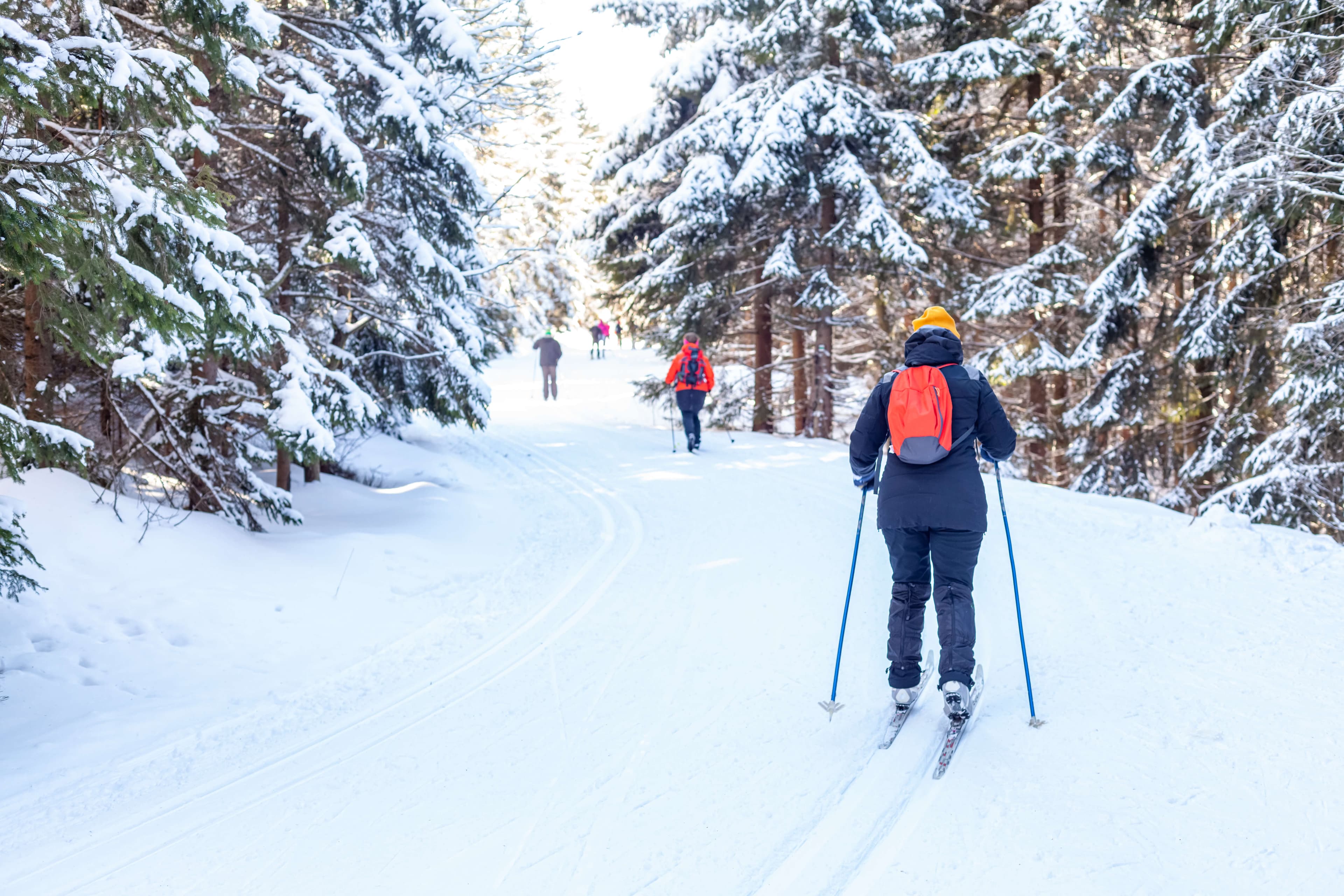 A person skis along a snow-covered trail in a forest with other skiers in the background.