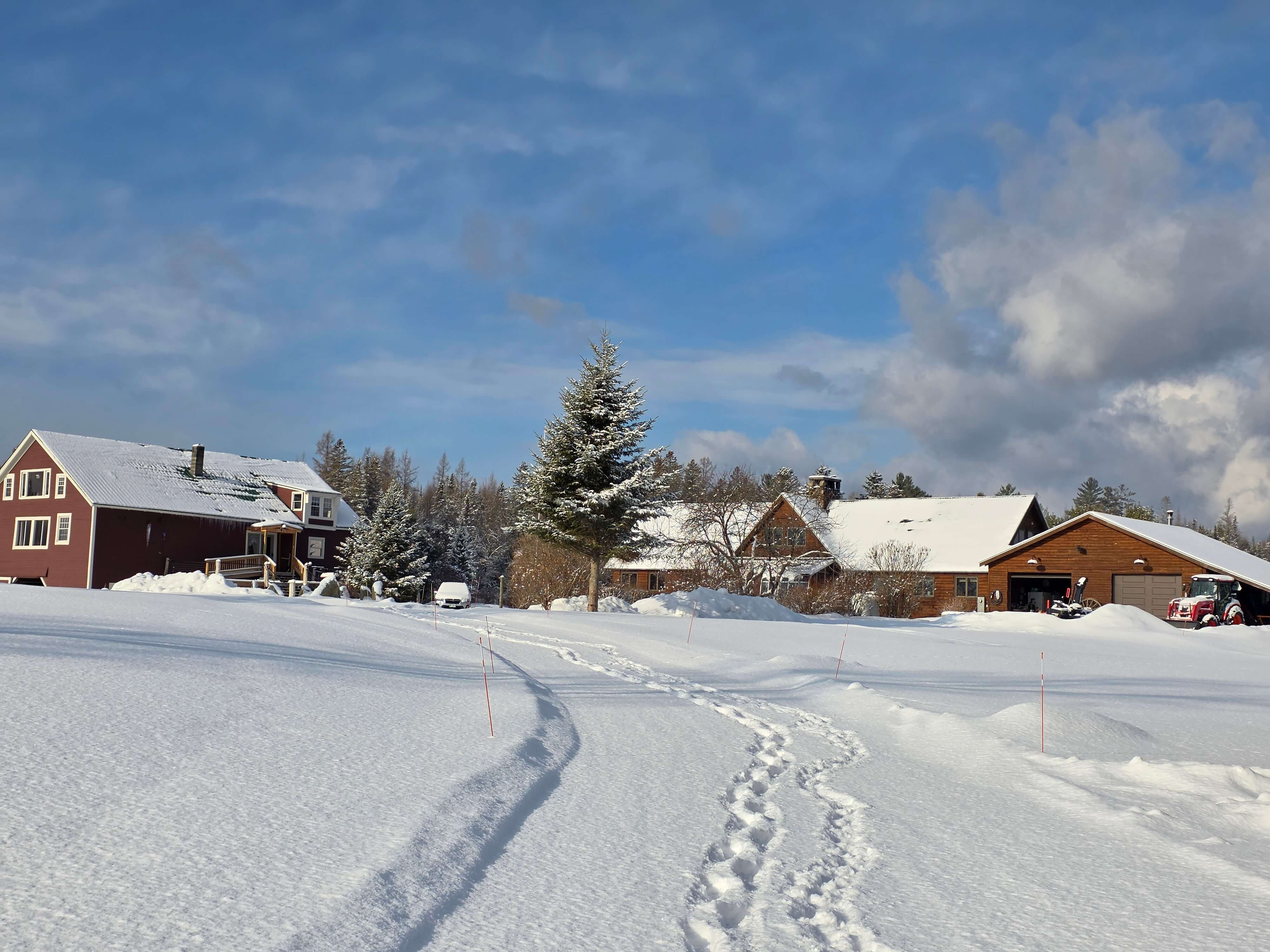 A snowy landscape features two houses surrounded by trees under a blue sky.