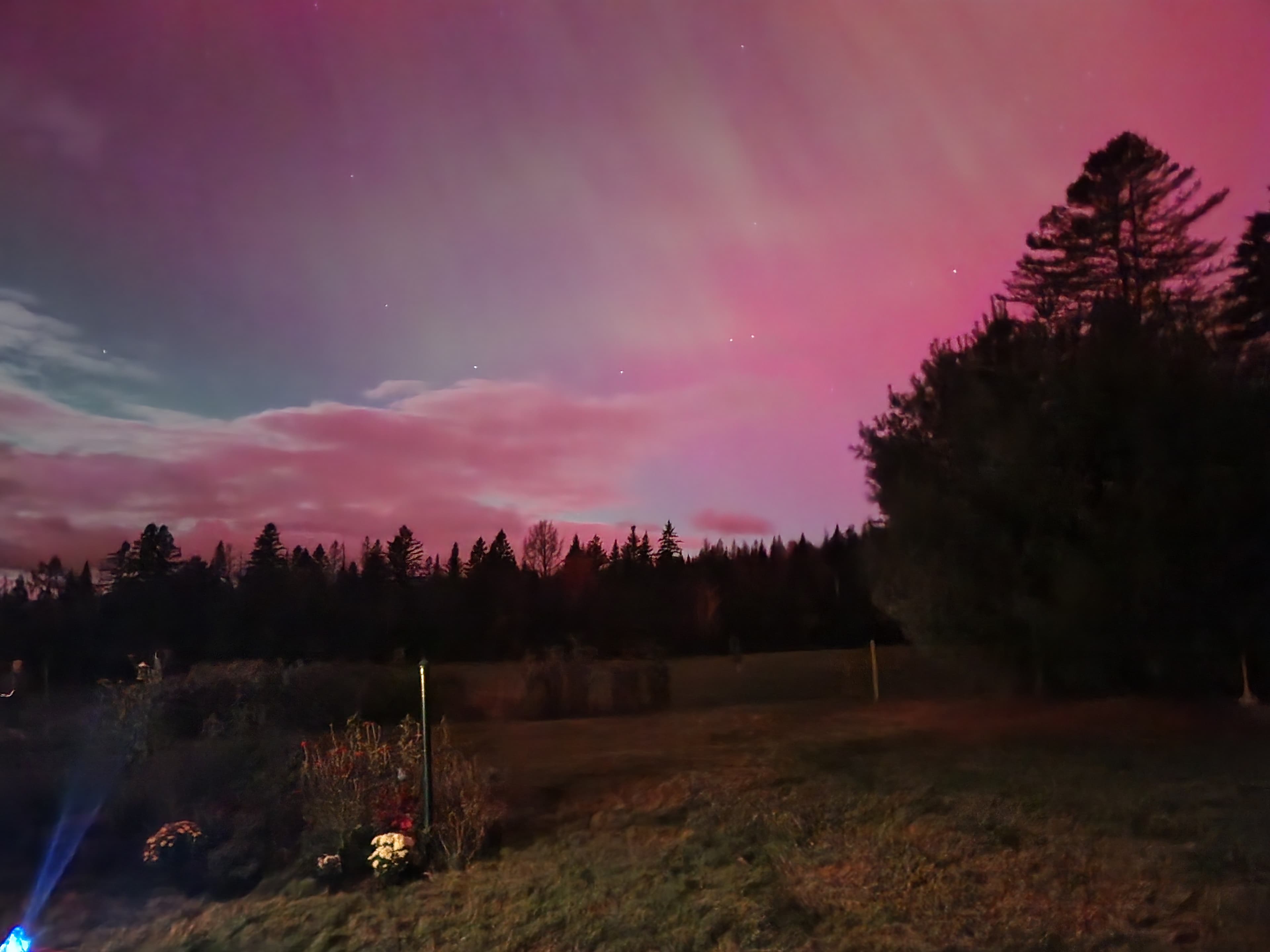 A tranquil landscape under a colorful pink and purple sky, with trees silhouetted in the foreground.