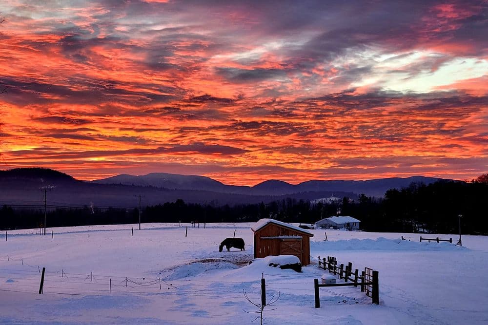 Large open farmland with a blanket of freshly fallen snow under a magnificent orange sunset sky