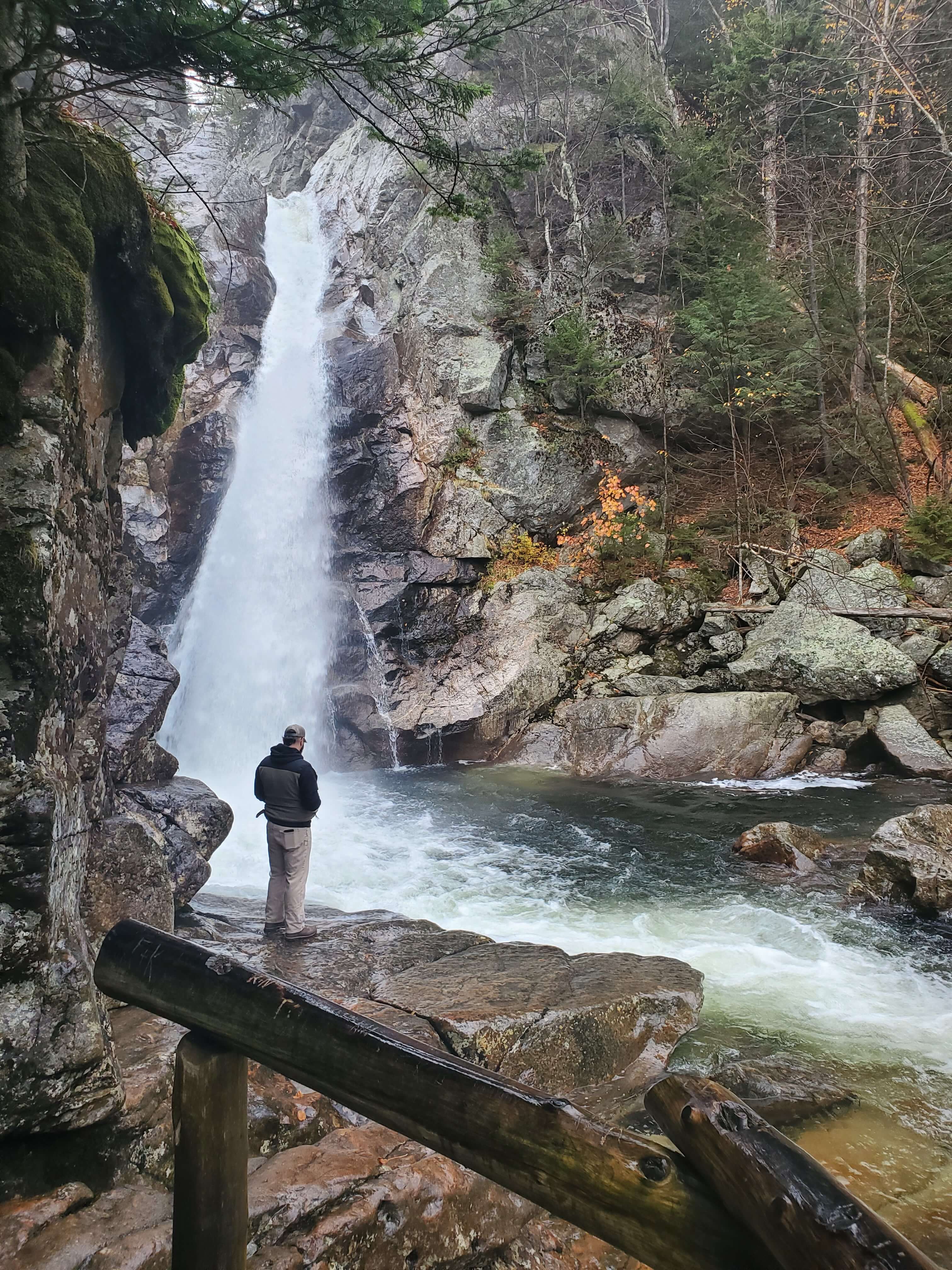 A person stands by a waterfall in a lush forested area.