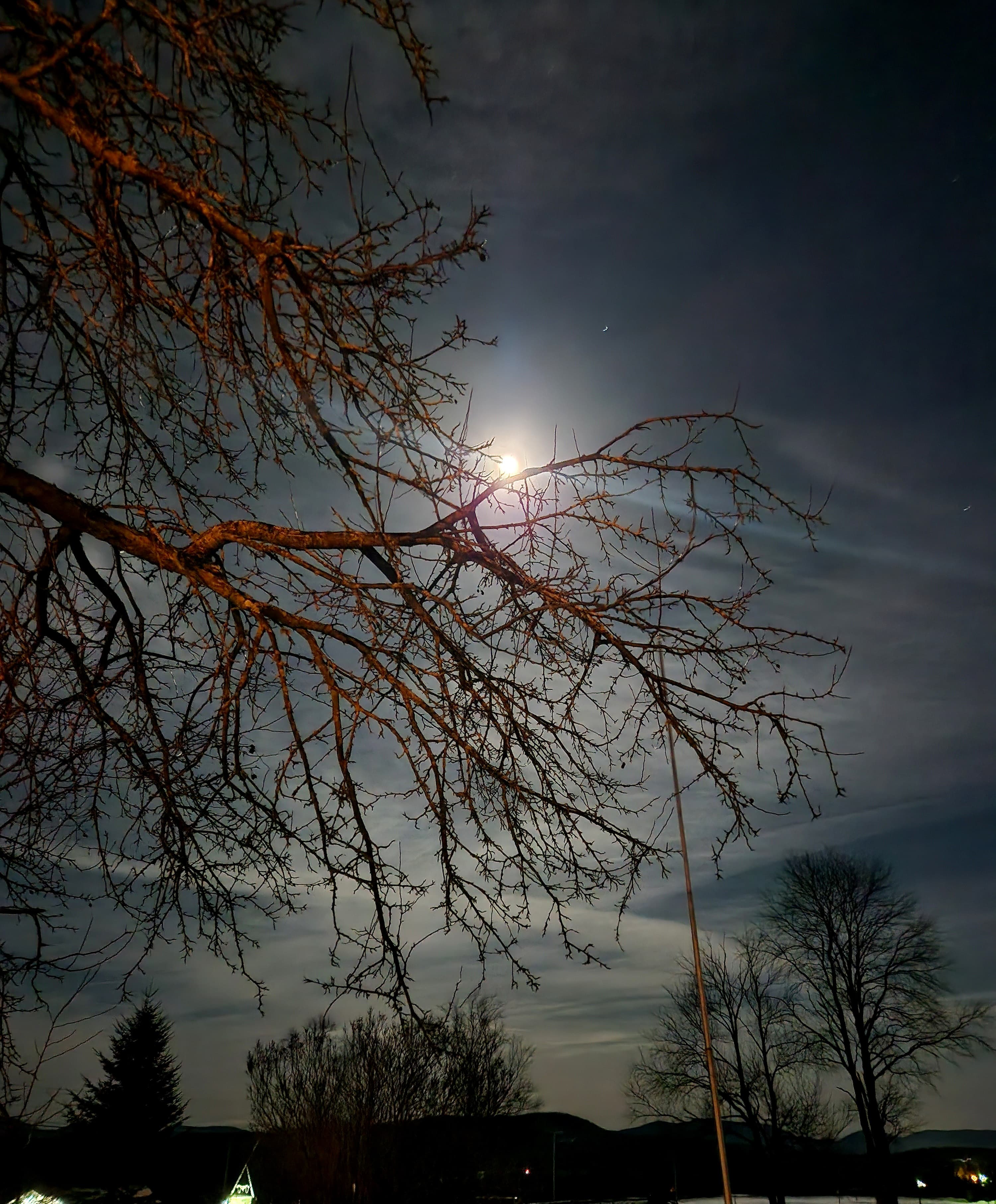 A bare tree branch silhouetted against a bright full moon and cloudy night sky.