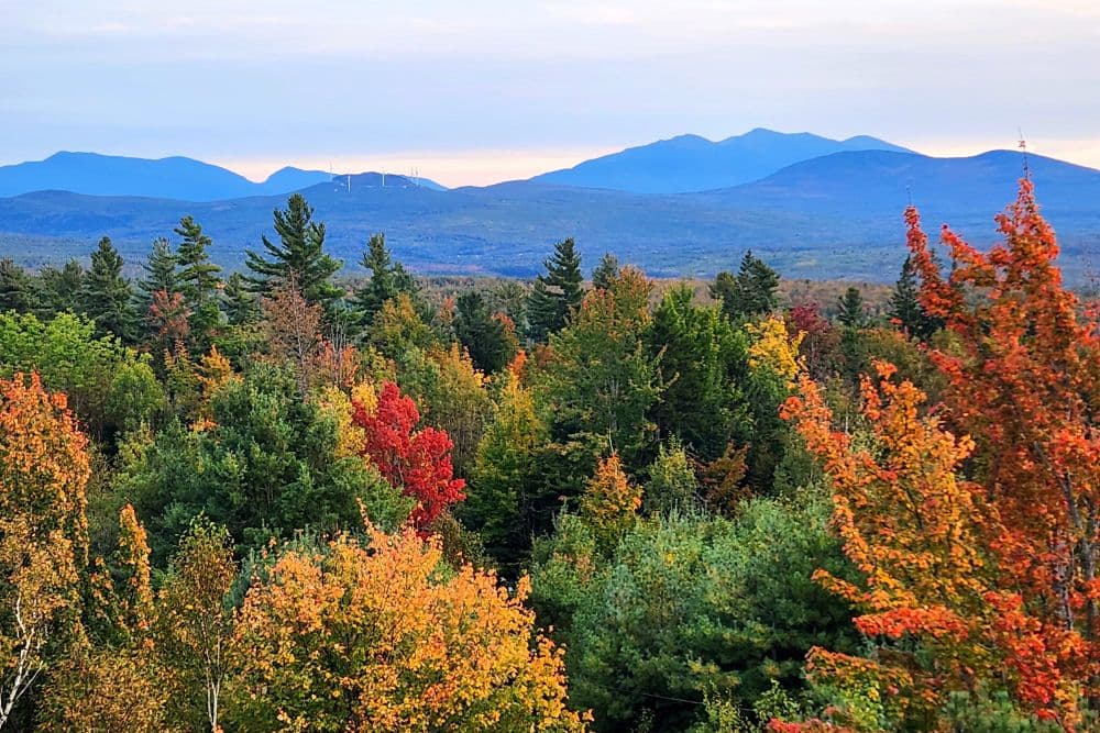 View of an expansive state park with tree covered mountains, rolling hills and fall colored trees