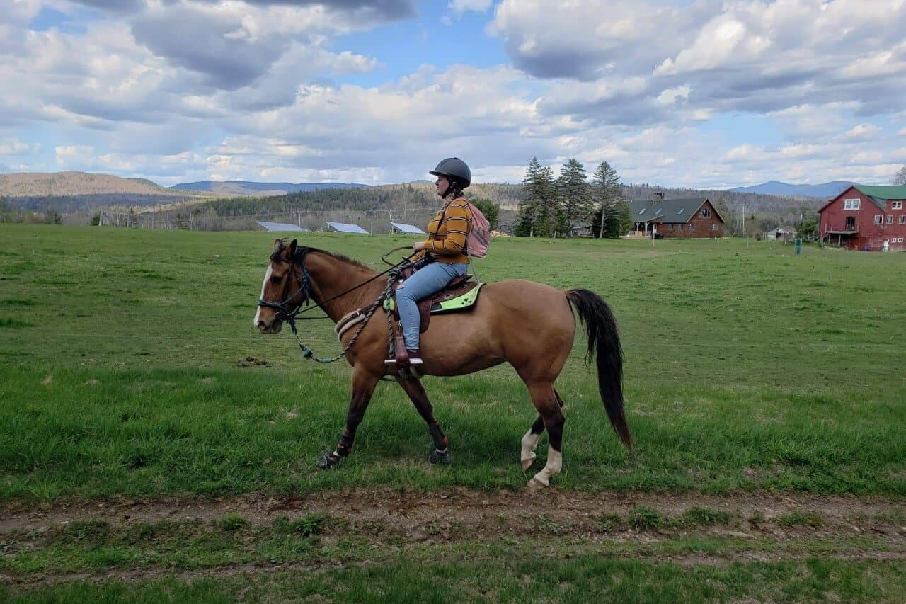 A person rides a brown horse through a grassy field under a partly cloudy sky.
