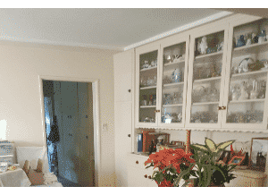 A cozy kitchen corner with a glass-front cabinet displaying collectables, a door leading to another room, and a potted plant in the foreground.