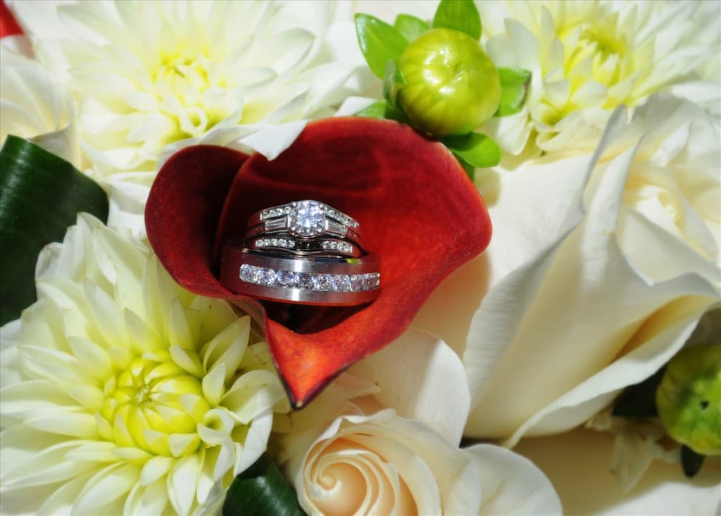 Two engagement rings nestled in a red flower petal among cream and white blooms.