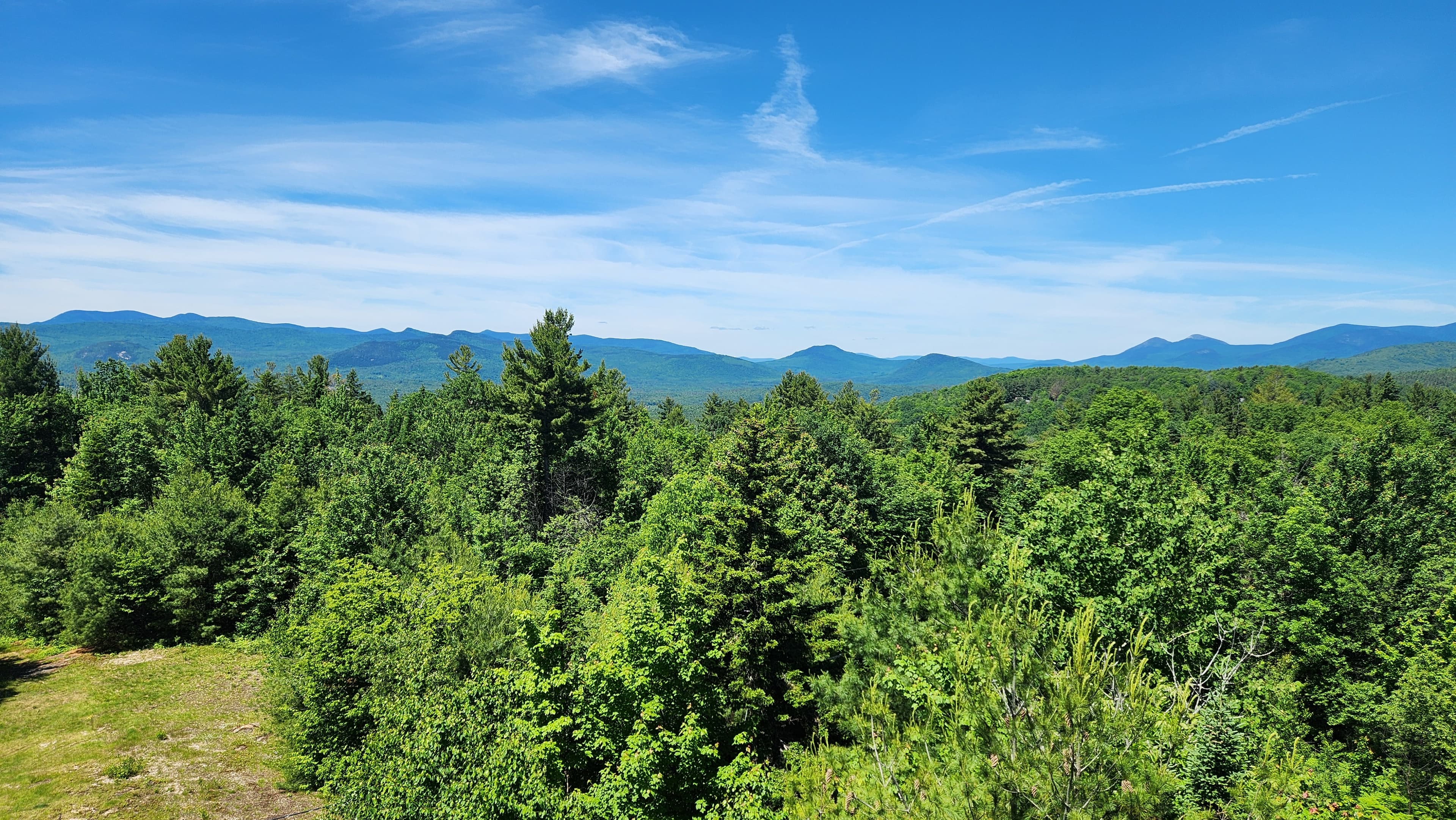 A panoramic view of lush green trees with distant mountains under a clear blue sky. A panoramic view of lush green trees with distant mountains under a clear blue sky.