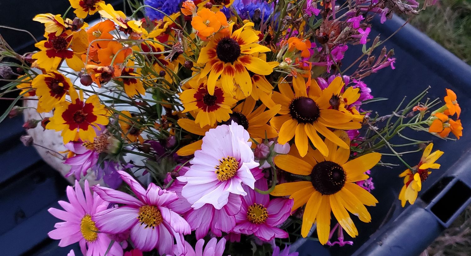 A bunch of different colorful spring flowers already picked and put in a rustic container