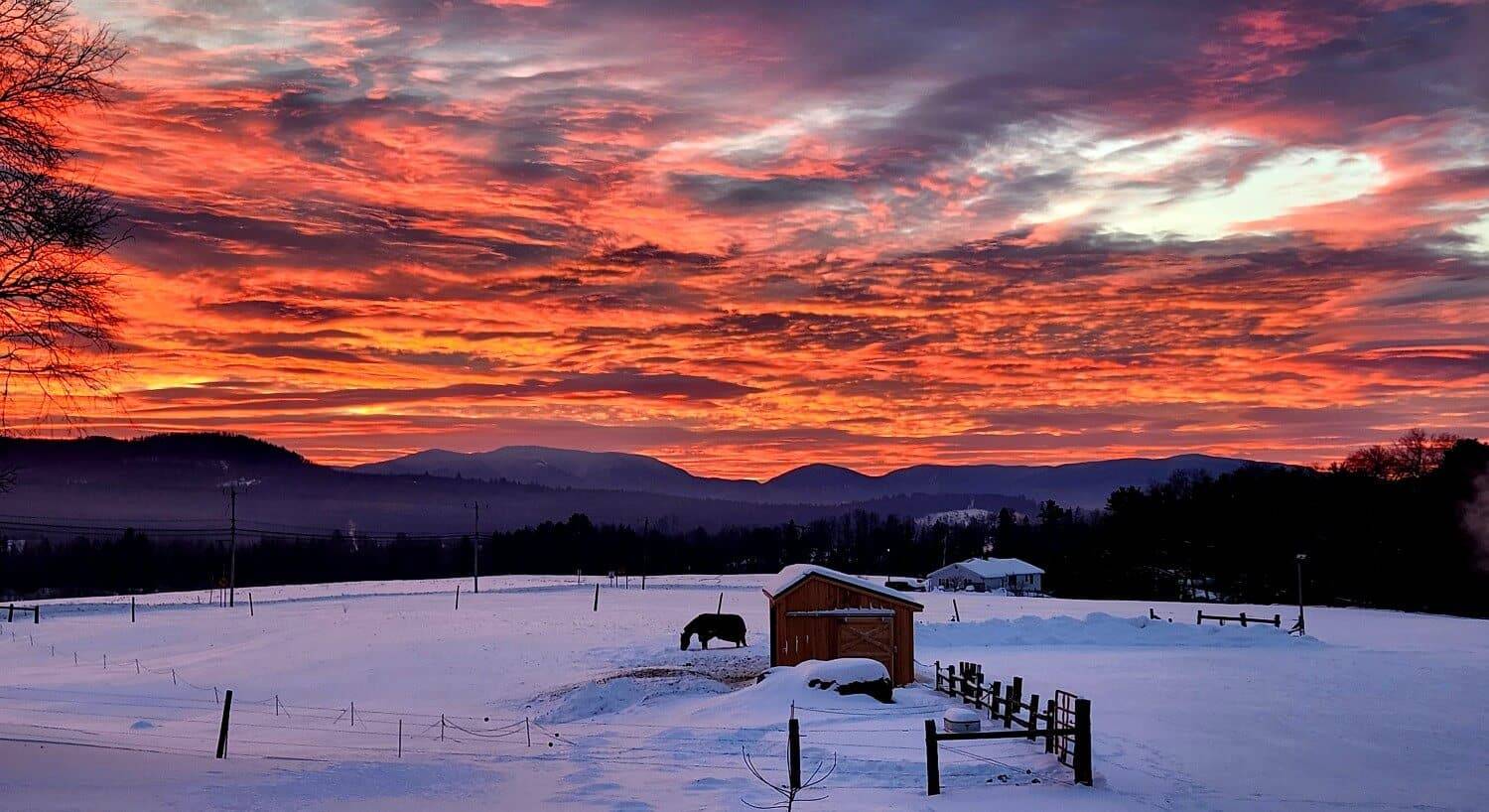 Dramatic sunrise with orange clouds, purple mountains and a horse next to a shed in the snow.