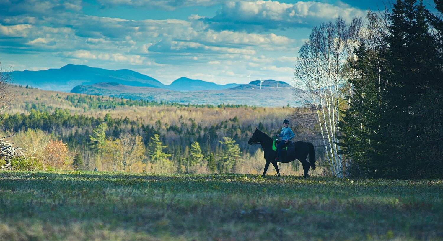Single horse with rider standing in the middle of open land surrounded by forest and mountain range in the background